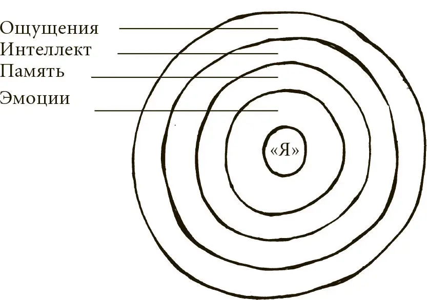 Рис 17 Человеческое существо словно жемчужина состоит из многих - фото 17