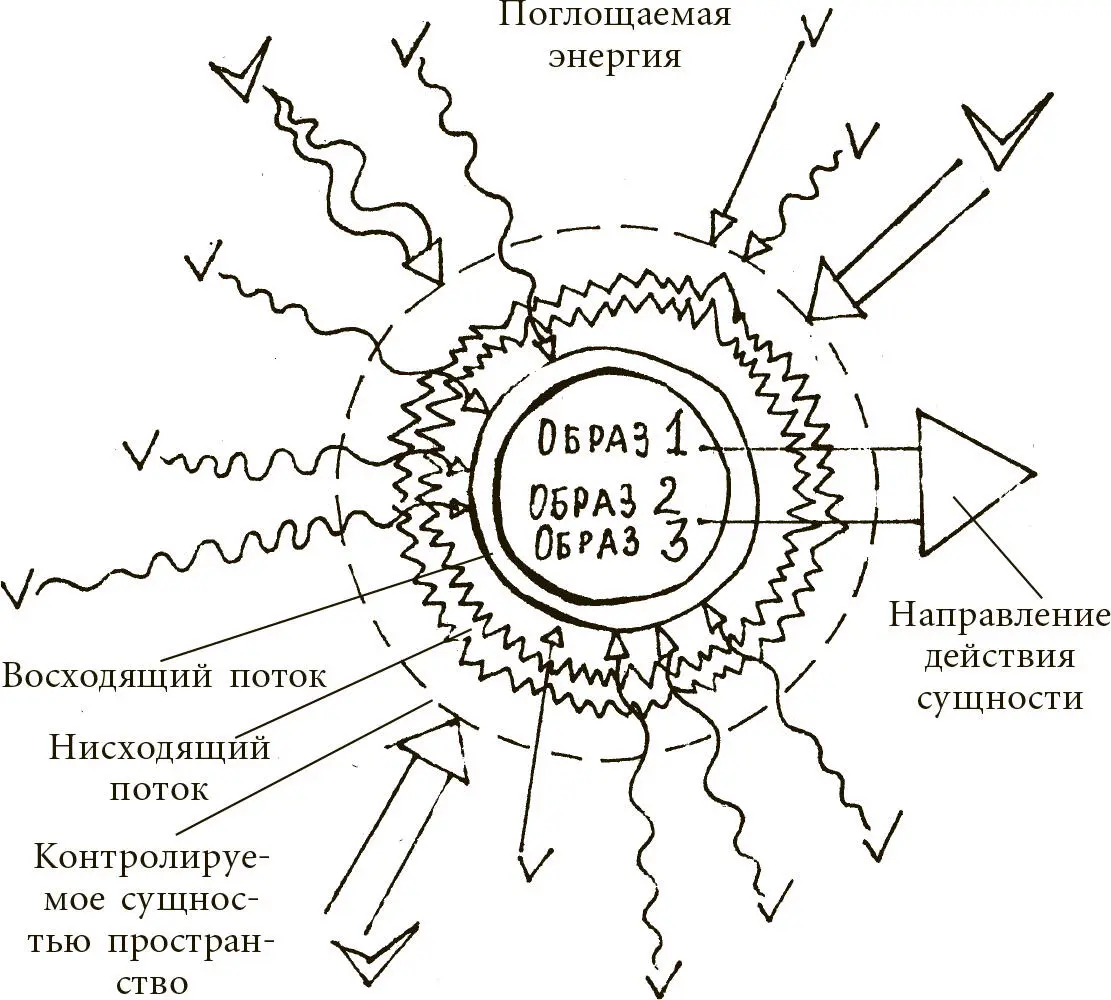 Рис 25 Теперь когда вы научили энергоинформационное существо питаться - фото 25
