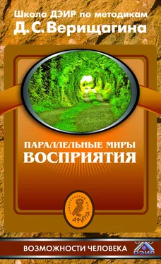 Дмитрий Верищагин Параллельные миры восприятия. Школа ДЭИР по методикам Д. С. Верищагина обложка книги