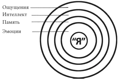 Рис 9 Человеческое существо словно жемчужина состоит из многих неповторимых - фото 9