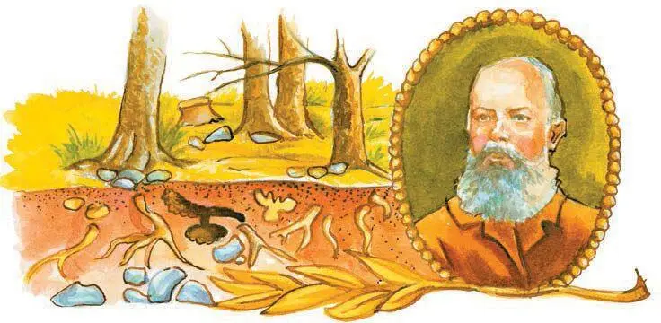 Николай Иванович Пирогов В XIX веке происходят изменения и в медицине Они - фото 62