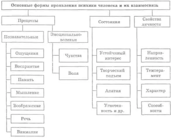 Рис 14 Формы проявления психики человека довательно является результатом - фото 3