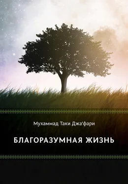 Мухаммад Джа'фари Благоразумная жизнь обложка книги