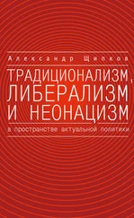 Александр Щипков - Традиционализм, либерализм и неонацизм в пространстве актуальной политики