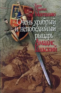 Гарси Монтальво Очень храбрый и непобедимый рыцарь Амадис Гальский обложка книги