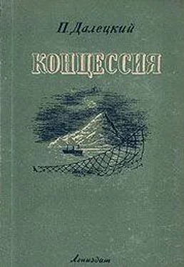 Павел Далецкий Концессия обложка книги