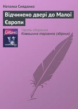 Наталка Сняданко Відчинено двері до Малої Європи обложка книги