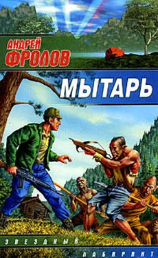 Андрей Фролов Мытарь обложка книги