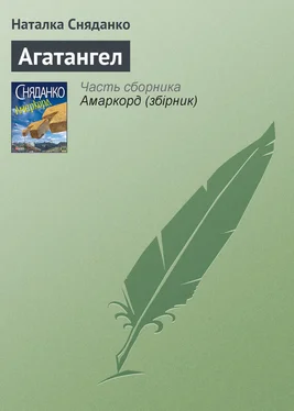 Наталка Сняданко Агатангел обложка книги