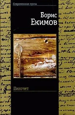 Борис Екимов Пиночет обложка книги