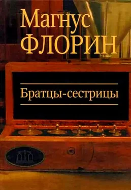 Магнус Флорин Братцы-сестрицы обложка книги