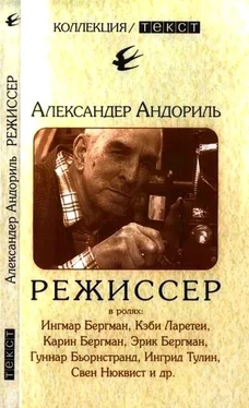 Александер Андориль Режиссер обложка книги