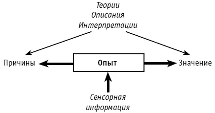 Рис 1Сенсорный опыт является сырьем из которого мы создаем наши модели мира - фото 1