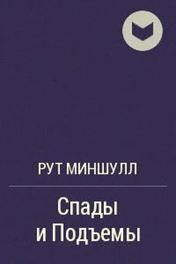 Рут Миншулл Спады и подъёмы обложка книги