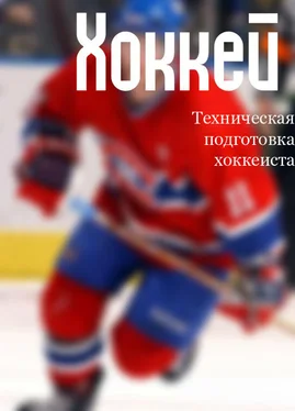 Илья Мельников Техническая подготовка хоккеиста обложка книги