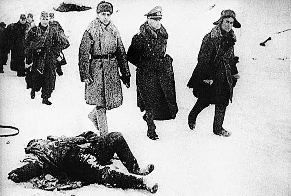 Сдавшийся в плен генерал Эдлер фон Даниэльс проходит мимо одного из своих - фото 40