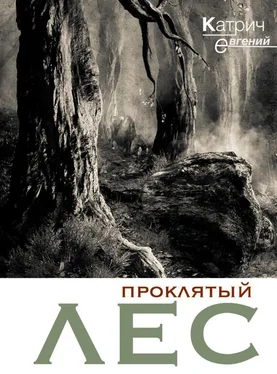 Евгений Катрич Проклятый лес обложка книги