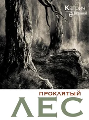 Евгений Катрич - Проклятый лес