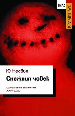 Ю Несбьо Снежния човек обложка книги