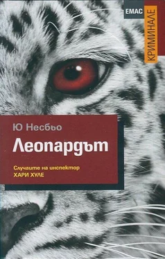 Ю Несбьо Леопардът обложка книги