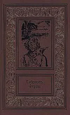 Габриэль Ферри Лесной бродяга обложка книги