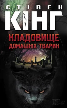 Стівен Кінг Кладовище домашніх тварин обложка книги