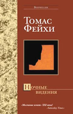 Томас Фейхи Ночные видения обложка книги