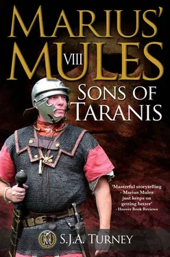 S. Turney Sons of Taranis обложка книги