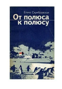 Елена Серебровская От полюса к полюсу обложка книги