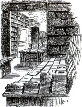 Шведскофинский книжный магазин на Большой Конюшенной улице 8 Рисунок Эрика - фото 100