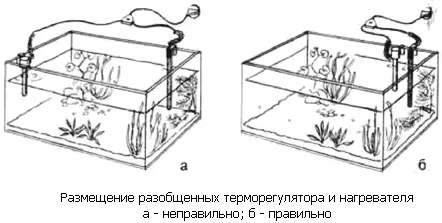 В тропиках эти колебания обычно не превышают 12 C В аквариуме где - фото 9