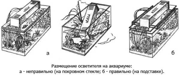 Особо надо остановиться на осветителях для аквариумов где содержатся крупные - фото 16