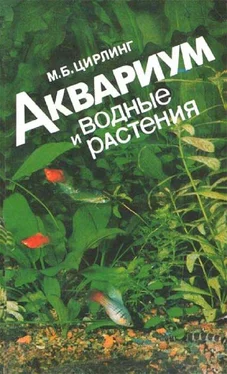 М.Б. Цирлинг Аквариум и водные растения обложка книги