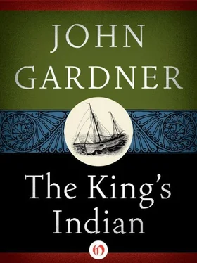 John Gardner The King's Indian: Stories and Tales обложка книги