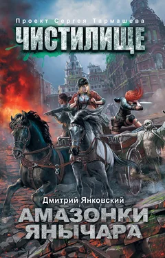 Дмитрий Янковский Чистилище. Амазонки Янычара обложка книги