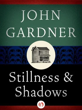 John Gardner Stillness & Shadows обложка книги