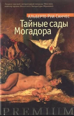 Альберто Руи Санчес Тайные сады Могадора обложка книги