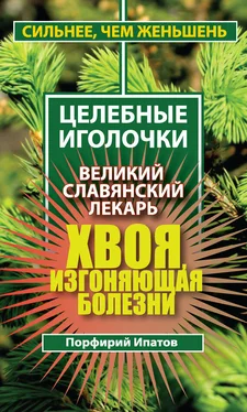 Порфирий Ипатов Хвоя, изгоняющая болезни. Великий славянский лекарь обложка книги