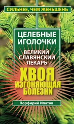 Порфирий Ипатов - Хвоя, изгоняющая болезни. Великий славянский лекарь