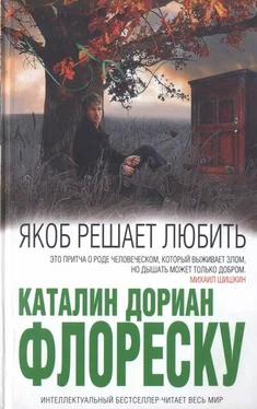 Каталин Флореску Якоб решает любить обложка книги