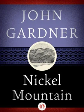 John Gardner Nickel Mountain