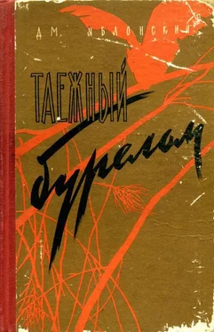 Дмитрий Яблонский Таежный бурелом обложка книги