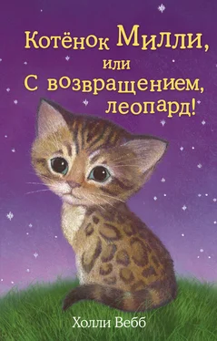 Холли Вебб Котёнок Милли, или С возвращением, леопард! обложка книги