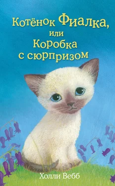 Холли Вебб Котёнок Фиалка, или Коробка с сюрпризом обложка книги