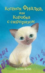 Холли Вебб - Котёнок Фиалка, или Коробка с сюрпризом