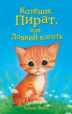 Холли Вебб Котёнок Пират, или Ловкий коготь обложка книги