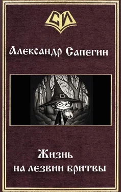 Александр Сапегин Жизнь на лезвии бритвы (СИ) обложка книги