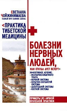 Светлана Чойжинимаева Болезни нервных людей, или Откуда дует ветер? обложка книги