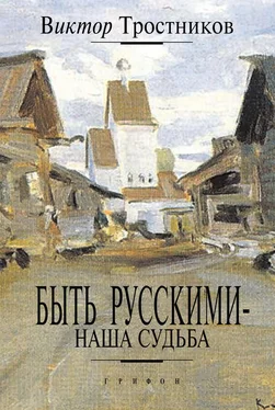 Виктор Тростников Быть русскими – наша судьба обложка книги