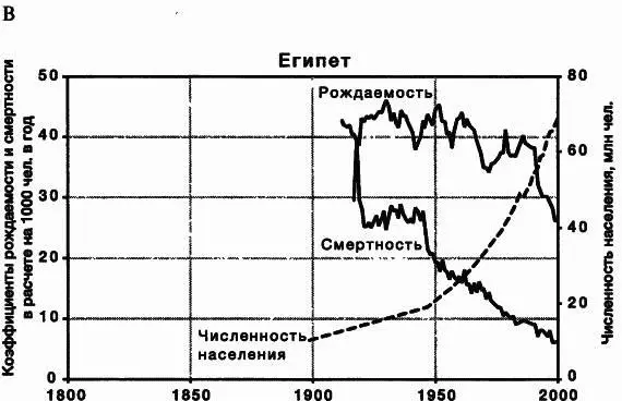 100 лет В странах со слаборазвитой промышленностью во второй половине XX в - фото 22